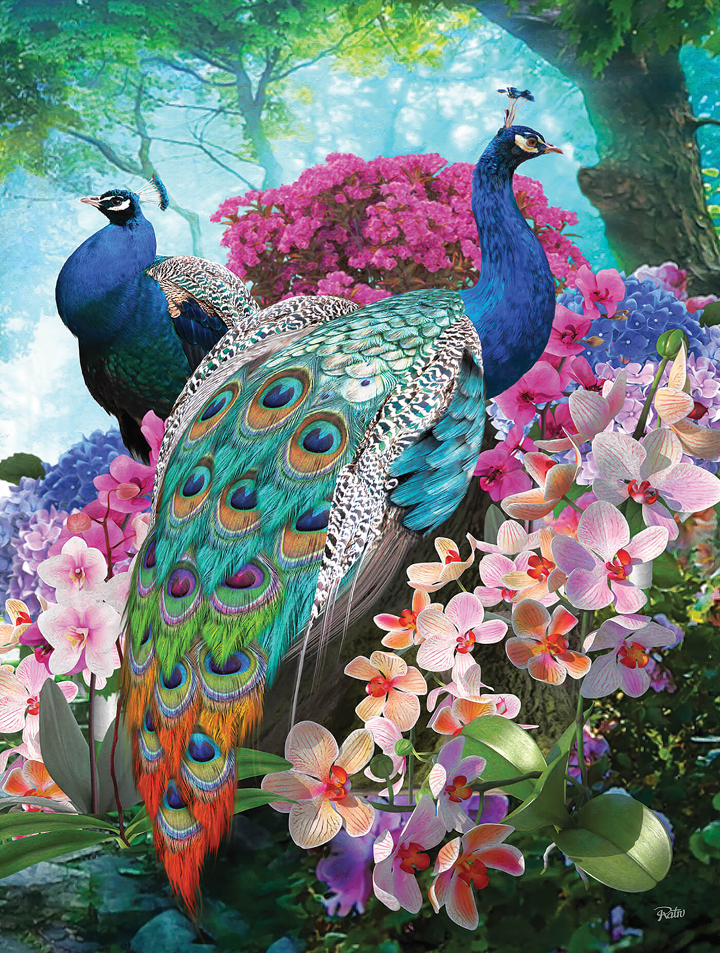 42374prettypeacockcat_web-