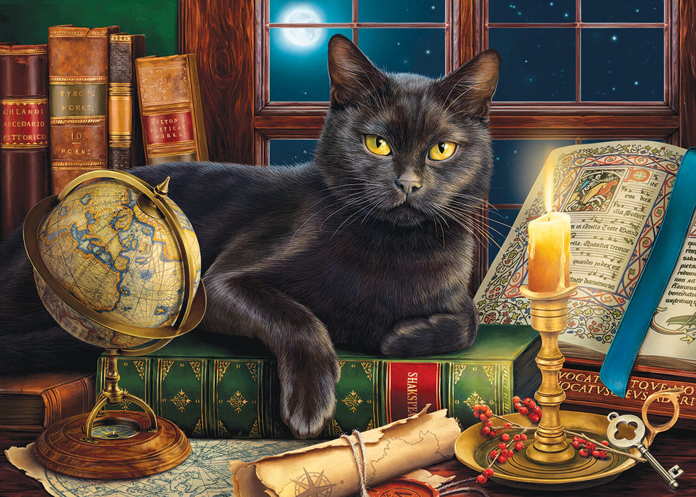 Jigsaw puzzle design of a black cat sitting on and amidst books, globe, key, maps, and candle, with a full moon in the sky outside the window