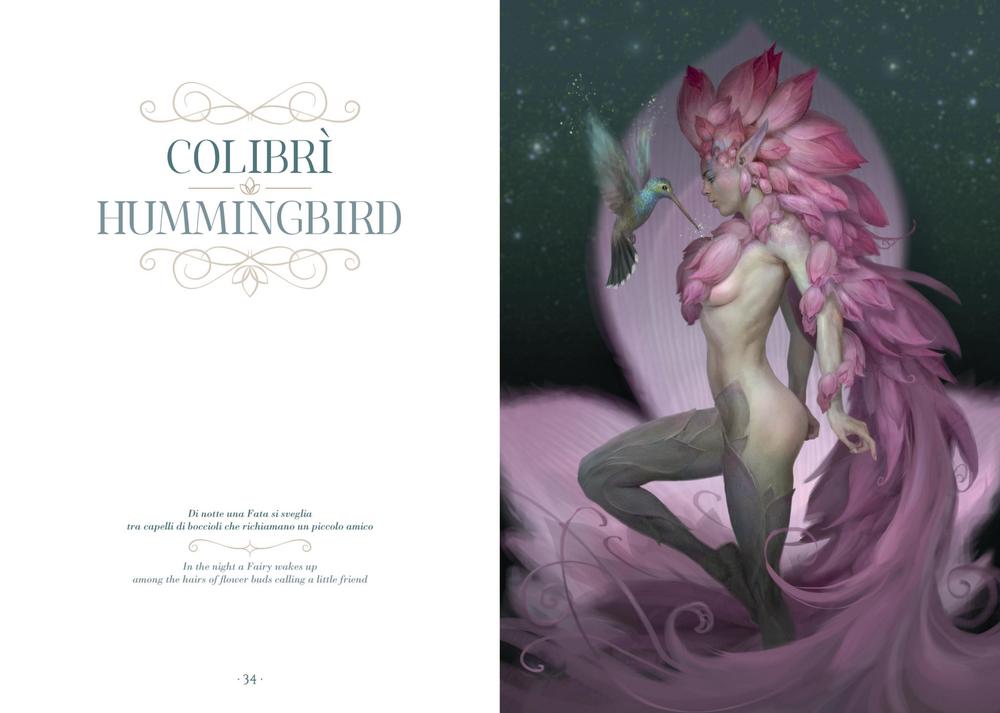 Inside page - Colibri Hummingbird with pink flower fairy and bird