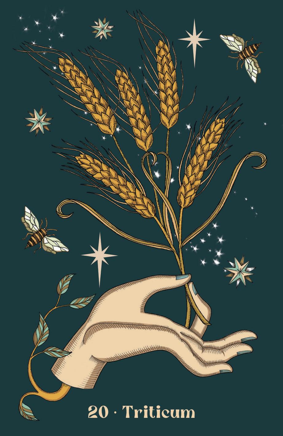 Oracle card, 20. Triticum, hand holding wheat with bees on teal background