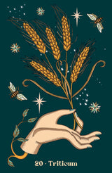 Oracle card, 20. Triticum, hand holding wheat with bees on teal background