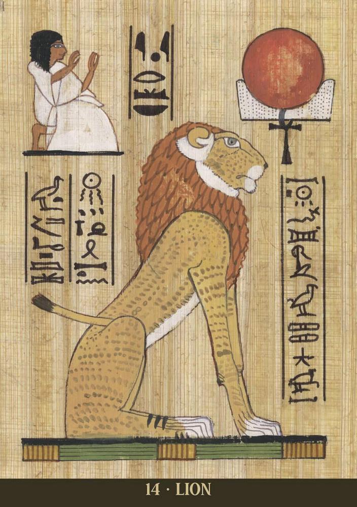 Card example, Egyptian-style illustration of a lion with hieroglyphics on a textured background