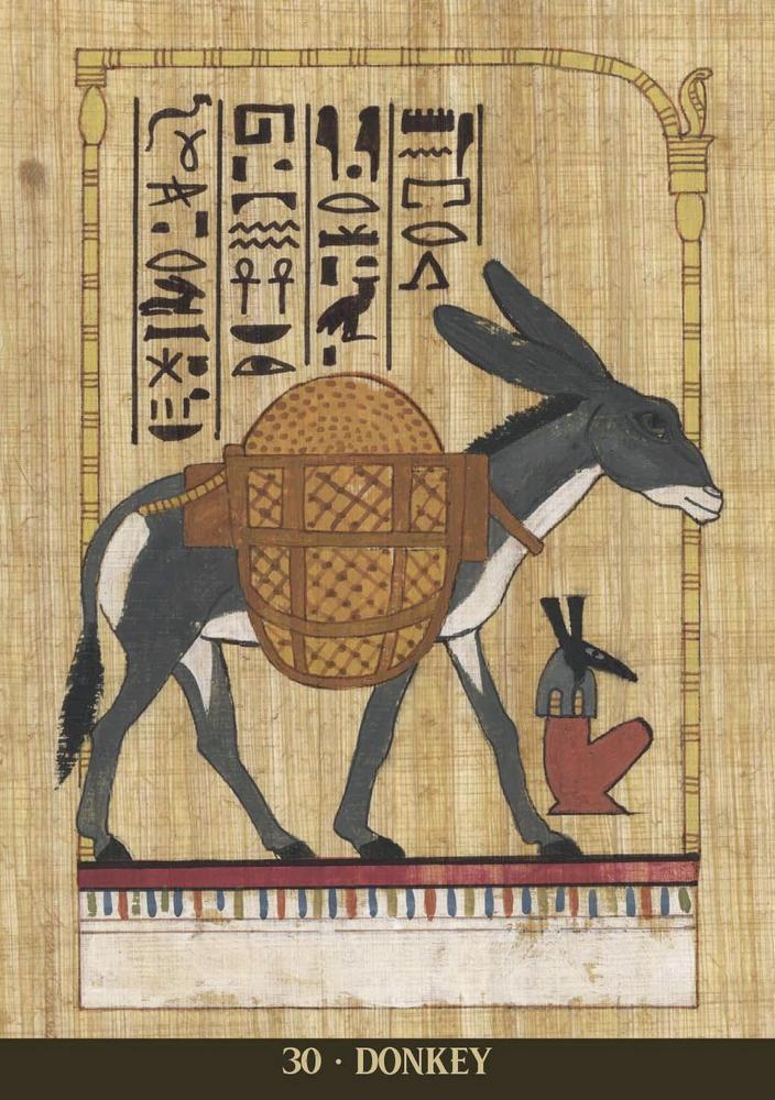 Card example, Decorative illustration of a donkey with an Egyptian-style background featuring hieroglyphs.