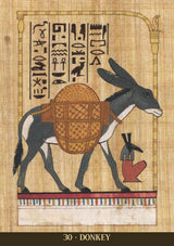 Card example, Decorative illustration of a donkey with an Egyptian-style background featuring hieroglyphs.