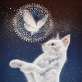 White cat looking at a mandala with a butterfly on a starry night background - calendar example