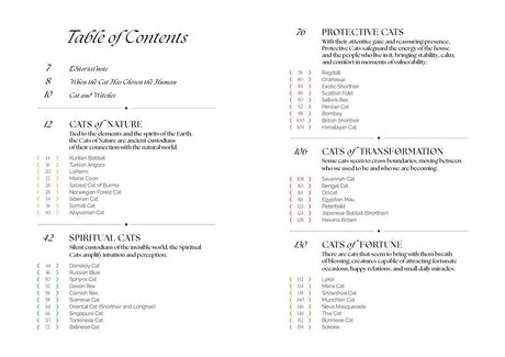 Table of contents for Mystical Guide to Cats book