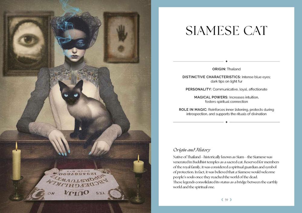 Page example for Siamese cat with text & illustrations