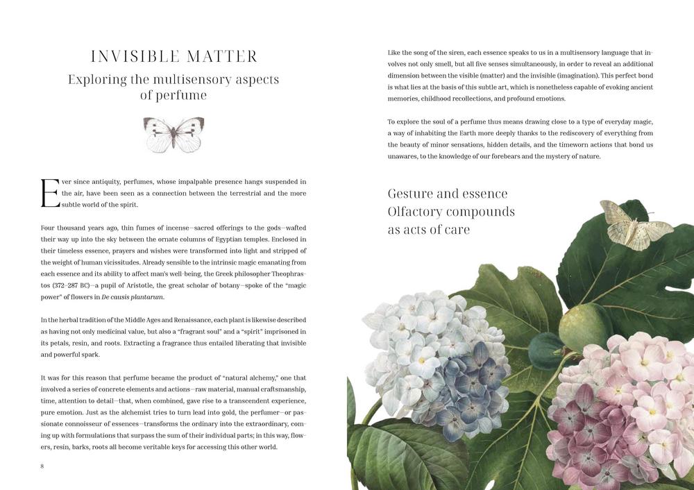 Book sample page on "Invisible Matter" with hydrangea illustration