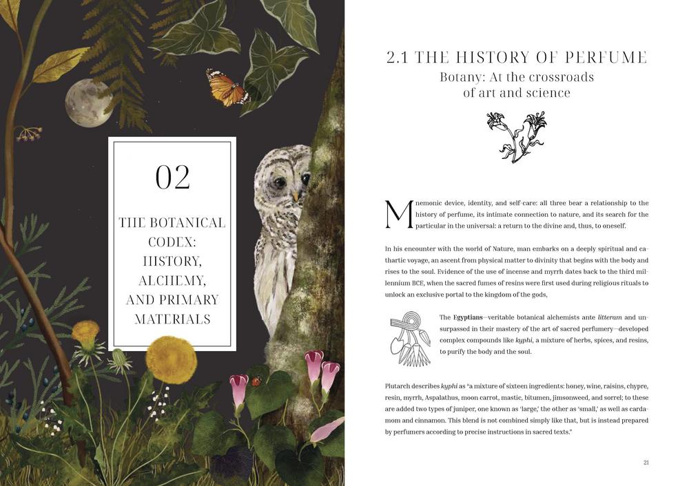 Book sample page on Chapter 2 - The Botanical Codex: History, Alchemy, and Primary Materials