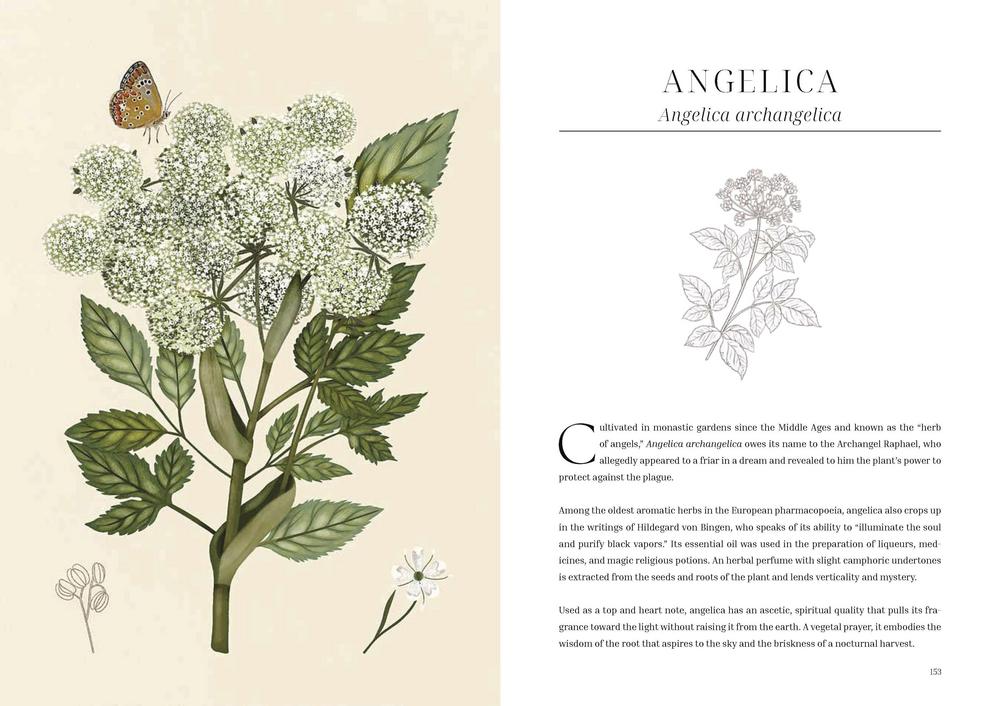 Book sample page - Angelica with illustration