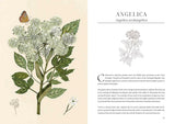 Book sample page - Angelica with illustration