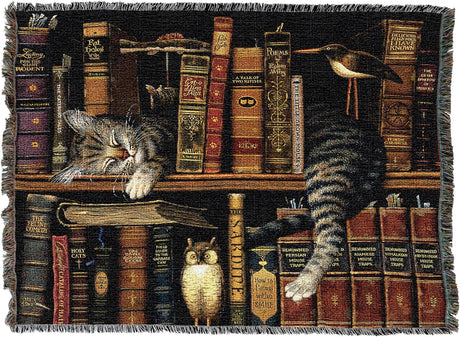 Woven blanket with a design of cats and books with trinkets on a bookshelf.