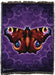 Butterfly tapestry blanket on a purple swirl background by artist Brigid Ashwood