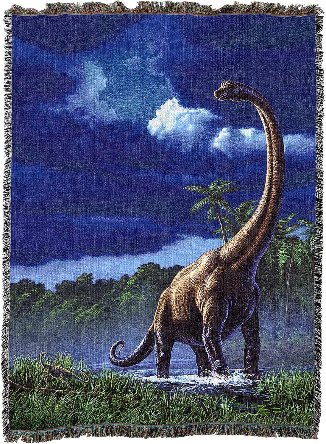 Dinosaur scene with a blue sky and clouds on a woven blanket.