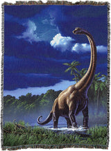 Dinosaur scene with a blue sky and clouds on a woven blanket.
