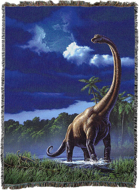 Dinosaur scene with a blue sky and clouds on a woven blanket.