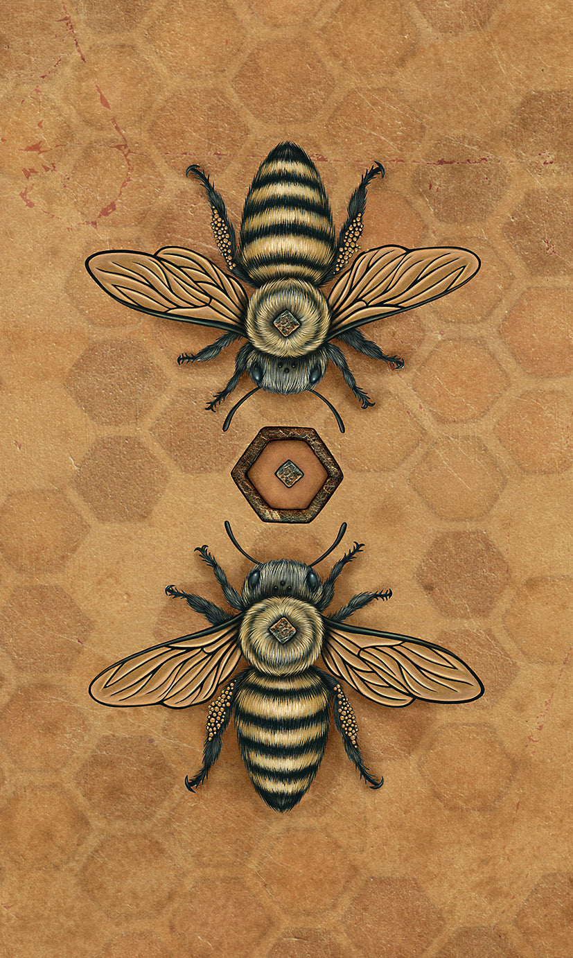Back of tarot cards - two bees