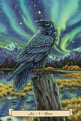 Everyday Witch's Familiars Oracle deck & guidebook, raven card example