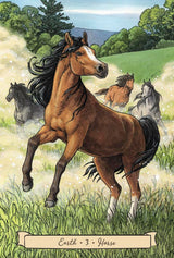 Everyday Witch's Familiars Oracle deck & guidebook, horse card example