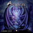 Dragons by Anne Stokes calendar, 2026, purple dragon family on the cover