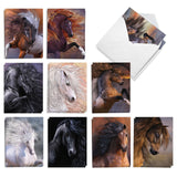 Set of notecards featuring various horse art by Laurie Prindle, with envelopes