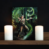 Elemental earth satyr mage casting a spell, canvas art print by Anne Stokes
