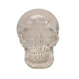 Clear resin skull