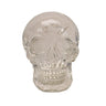 Clear resin skull