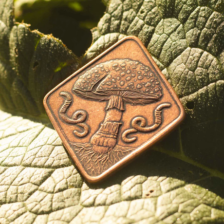 Copper coin featuring a morel mushroom on one side with worms and Fly Agaric on the other