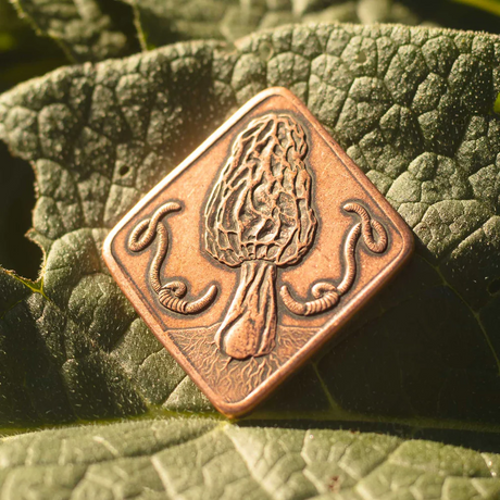 Copper coin featuring a morel mushroom on one side with worms and Fly Agaric on the other