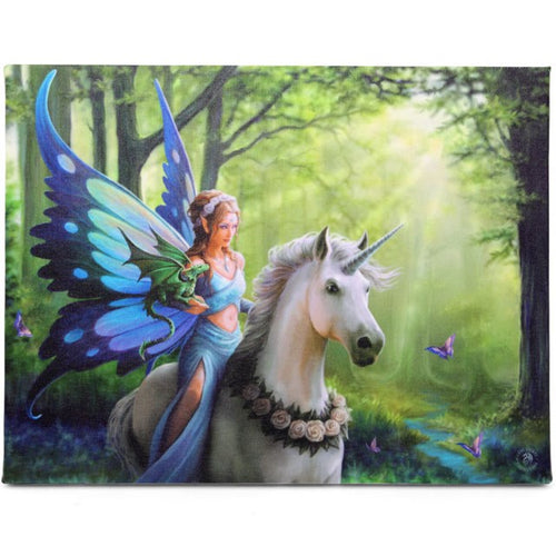 Realm of Enchantment Canvas Print by Anne Stokes