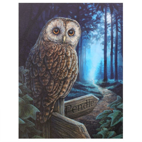 Canvas print by Lisa Parker, owl in a moonlit forest on a signpost