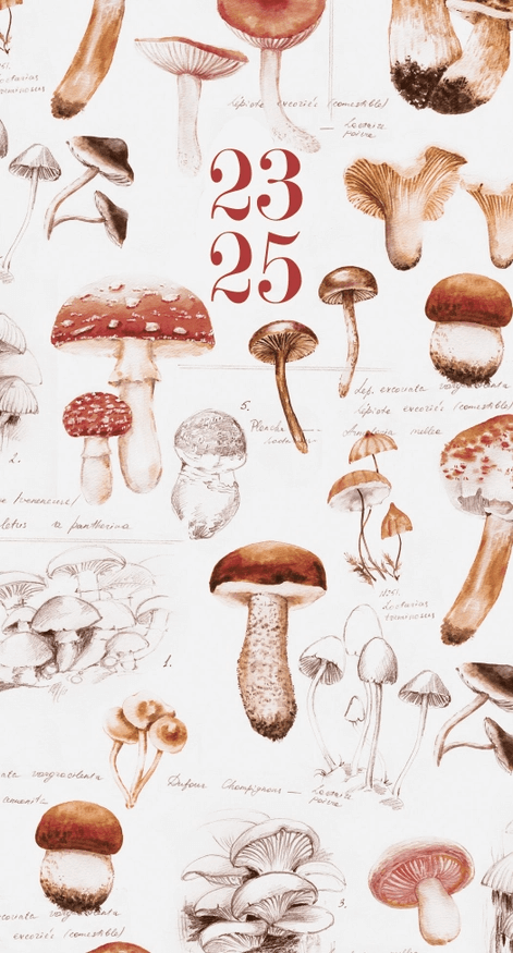 Academic planner for years 2023 - 2025 featuring mushroom sketches on the cover