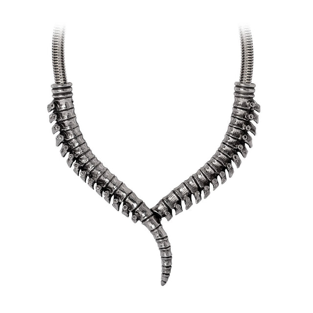 Pewter necklace featuring a human spinal column design