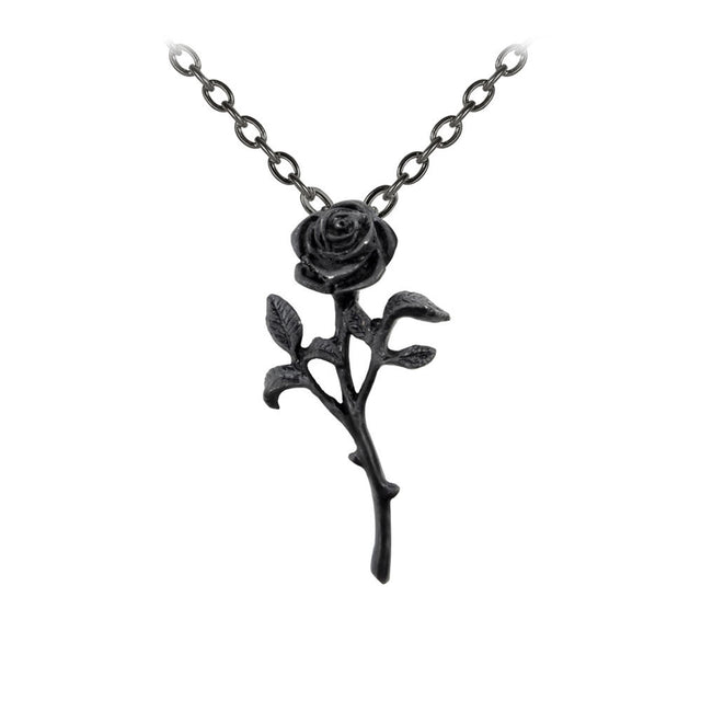 Black rose necklace on a white background
