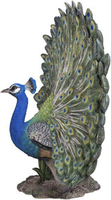 Side of peacock statue