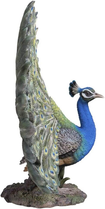 Side of peacock statue
