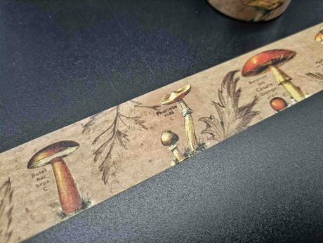 Decorative tape with vintage style mushroom-themed designs
