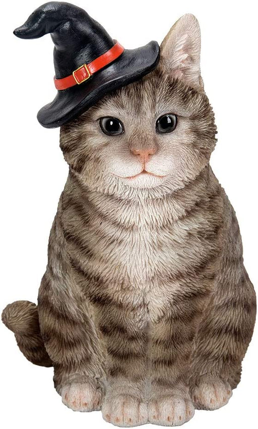 Grey tabby cat wearing a witch hat.