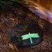 Stepping stone with glow in the dark dragonfly shown glowing at night in a garden