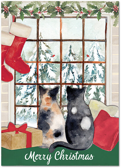 Christmas Cats Christmas Cards