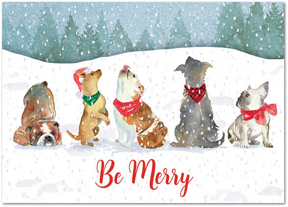 Snow Flurry Pets Christmas Cards