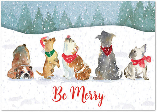 Snow Flurry Pets Christmas Cards