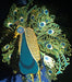 Side view closeup of peacock ornament showing detailed eye and feathers