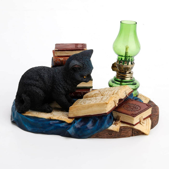 Black cat reading a book next to more tomes and a green lamp