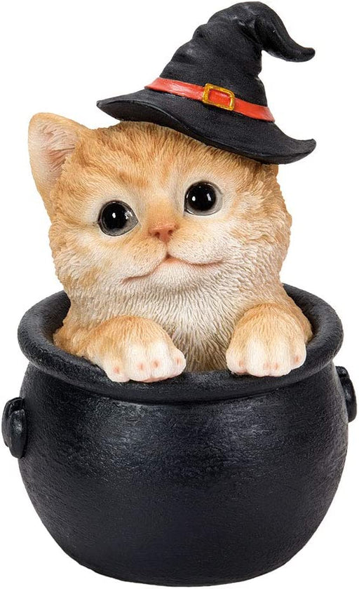 Orange tabby kitten in a witch hat, sitting in a black cauldron
