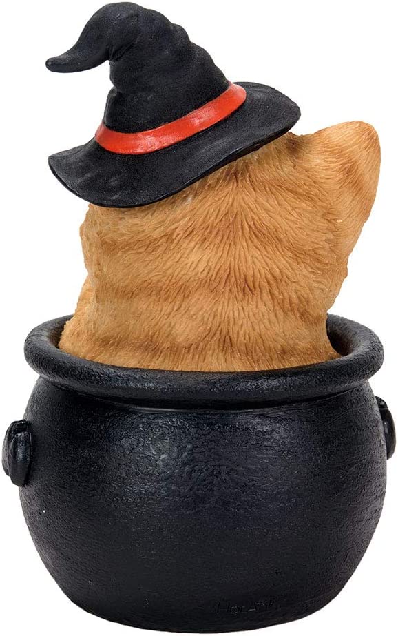 Orange tabby kitten in a witch hat, sitting in a black cauldron. Back view