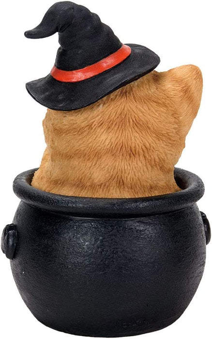 Orange tabby kitten in a witch hat, sitting in a black cauldron. Back view