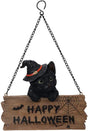 Black Kitten in witch hat hanging on a "Happy Halloween" sign, with chain for displaying.