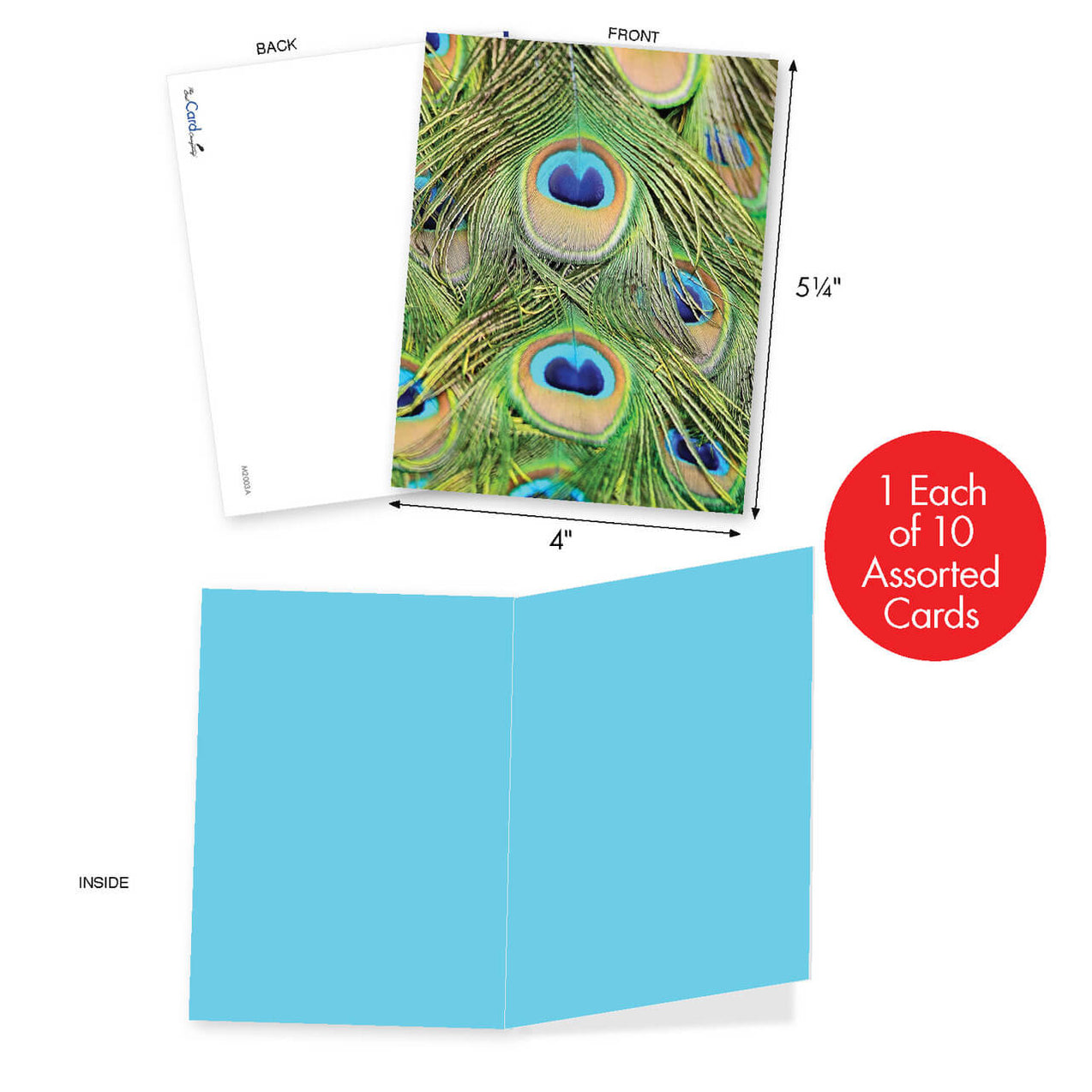 Fancy Feathers Mini Notecards Greeting Cards & Stationery Letter